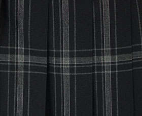 大妻中野高校の制服（冬・夏） | 中古制服販売 ウイング